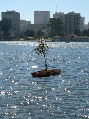 a tree planted in (and growing in) a boat floating on Lake Merrit in Oakland CA